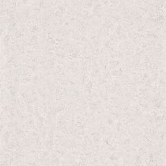 Одуванчики-фон 2 Х 12 дуплекс арт.С25БР Обои Брянск