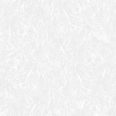 Лидия фон 01 Х 9 винил Обои Саратов С31М